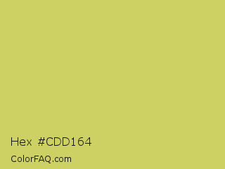 Hex #cdd164 Color Image