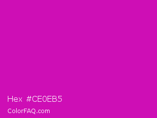 Hex #ce0eb5 Color Image
