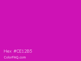 Hex #ce12b5 Color Image