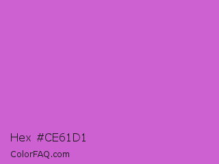 Hex #ce61d1 Color Image