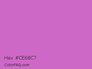 Hex #ce68c7 Color Image