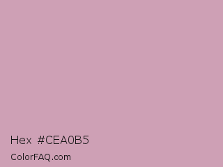 Hex #cea0b5 Color Image