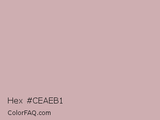 Hex #ceaeb1 Color Image