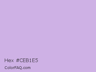 Hex #ceb1e5 Color Image