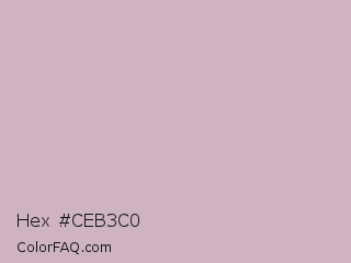 Hex #ceb3c0 Color Image