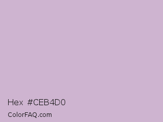 Hex #ceb4d0 Color Image