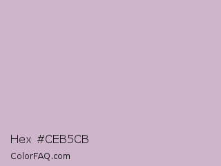 Hex #ceb5cb Color Image