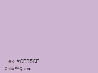 Hex #ceb5cf Color Image