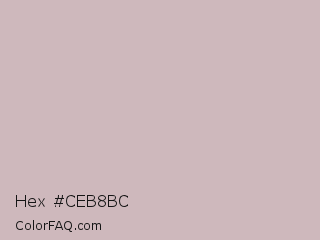 Hex #ceb8bc Color Image