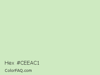 Hex #ceeac1 Color Image