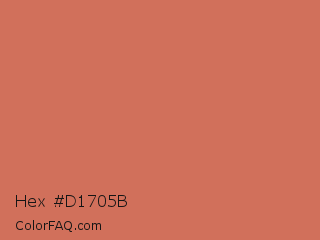 Hex #d1705b Color Image