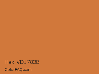 Hex #d1783b Color Image