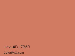Hex #d17b63 Color Image