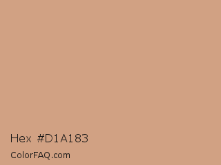 Hex #d1a183 Color Image