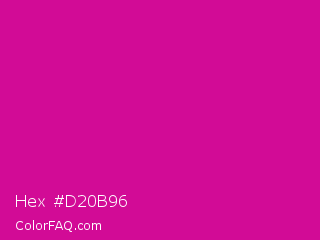 Hex #d20b96 Color Image