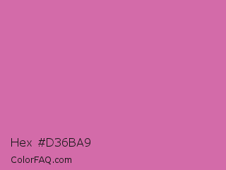 Hex #d36ba9 Color Image