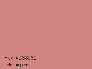 Hex #d38681 Color Image