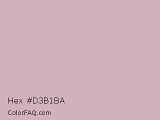 Hex #d3b1ba Color Image