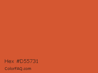 Hex #d55731 Color Image