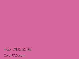 Hex #d5659b Color Image