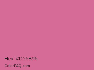 Hex #d56b96 Color Image