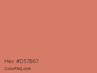 Hex #d57b67 Color Image