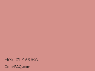 Hex #d5908a Color Image