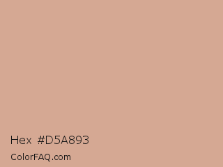 Hex #d5a893 Color Image
