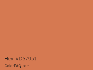 Hex #d67951 Color Image