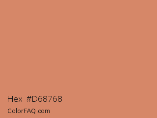 Hex #d68768 Color Image