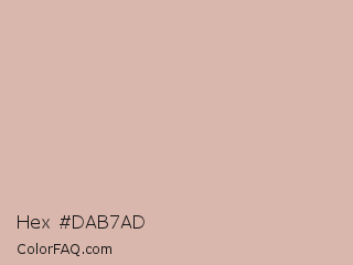 Hex #dab7ad Color Image