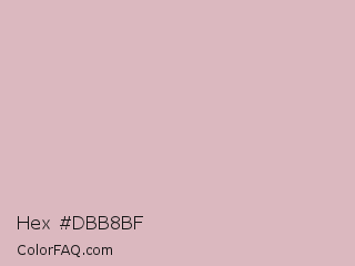 Hex #dbb8bf Color Image