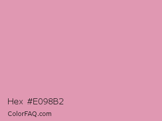 Hex #e098b2 Color Image