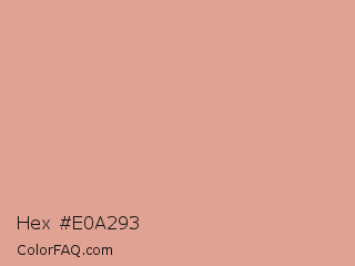 Hex #e0a293 Color Image