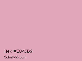 Hex #e0a5b9 Color Image