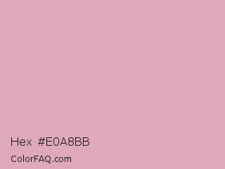 Hex #e0a8bb Color Image