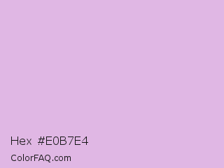 Hex #e0b7e4 Color Image