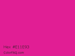 Hex #e11e93 Color Image