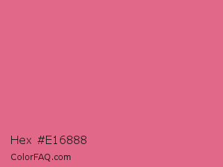 Hex #e16888 Color Image