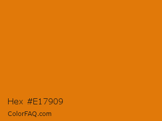 Hex #e17909 Color Image