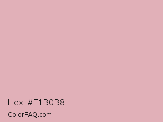 Hex #e1b0b8 Color Image