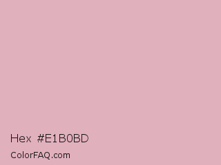 Hex #e1b0bd Color Image