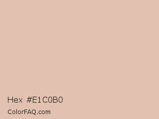 Hex #e1c0b0 Color Image