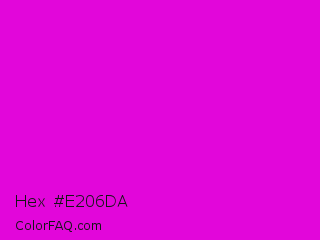 Hex #e206da Color Image