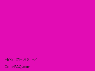 Hex #e20cb4 Color Image