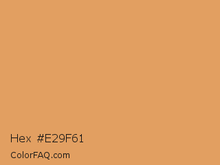 Hex #e29f61 Color Image