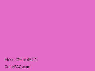 Hex #e36bc5 Color Image