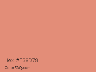 Hex #e38d78 Color Image