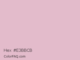 Hex #e3bbcb Color Image