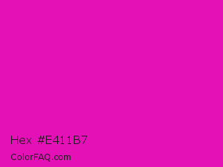 Hex #e411b7 Color Image